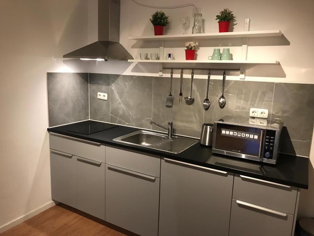 Maxim Apartments Μάιντς Εξωτερικό φωτογραφία