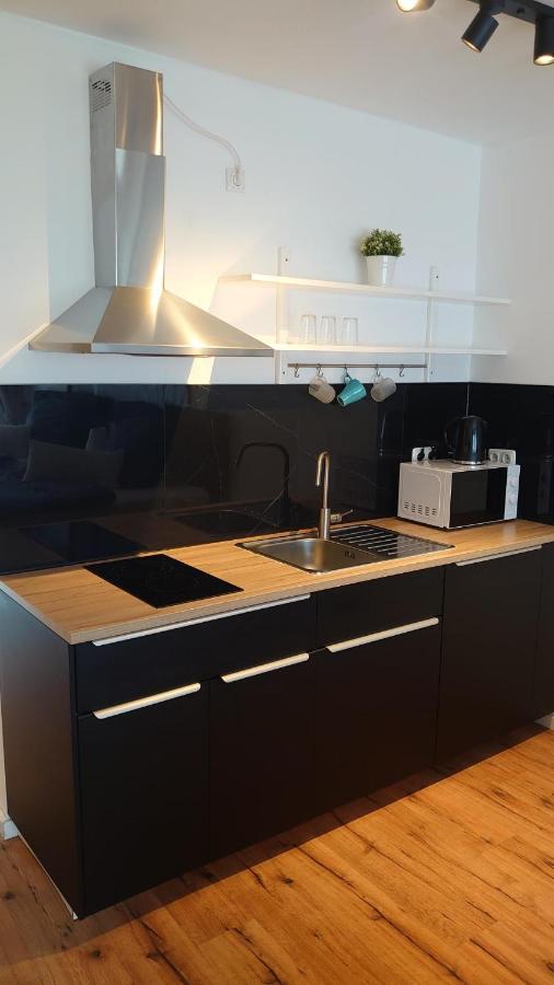 Maxim Apartments Μάιντς Εξωτερικό φωτογραφία